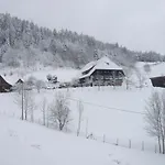 بيت للعطل Rinkenbachhof Modern Retreat شنكنزل