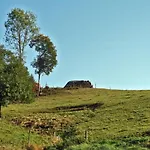 Rinkenbachhof Modern Retreat 펜션 *