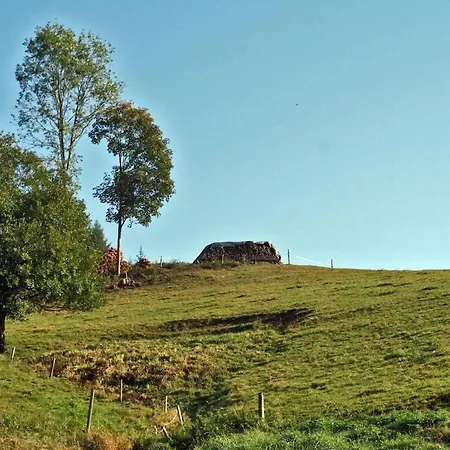 Rinkenbachhof Modern Retreat بيت للعطل *